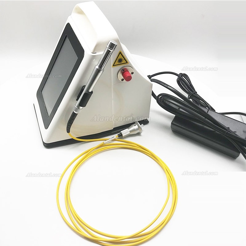 Dental 980nm Diode Oral Soft Tissue Surgery Laser 8/10W Dental Laser